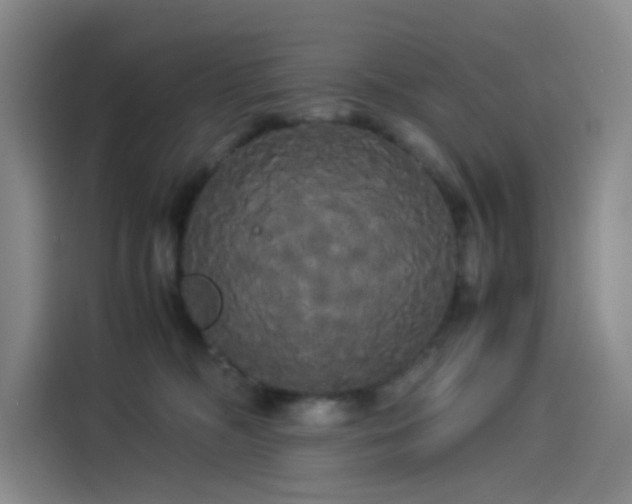 X0000114190326200910161210