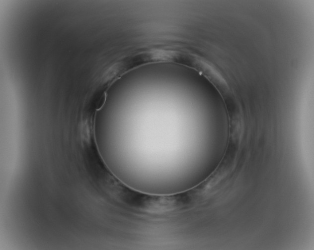 X0000114190329200910161210