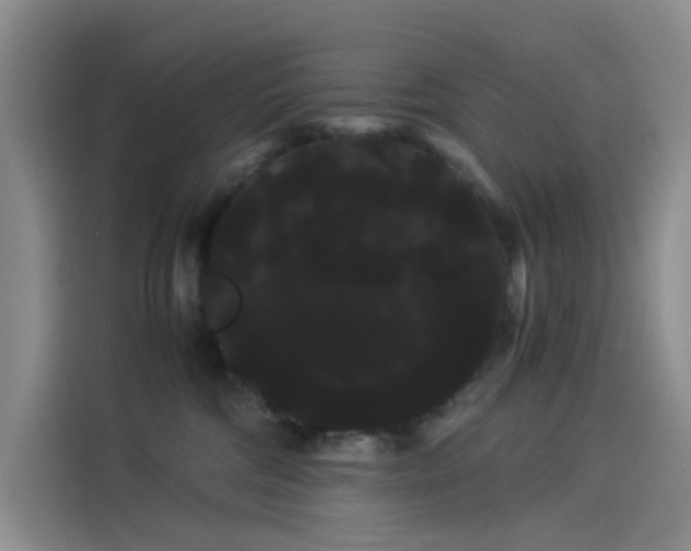 X0000114190330200910161210
