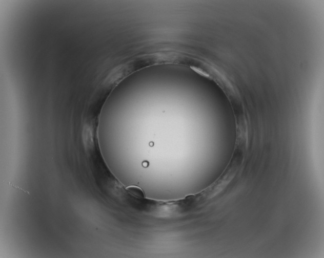 X0000114190333200910161210