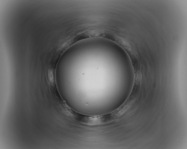 X0000114190335200910161210