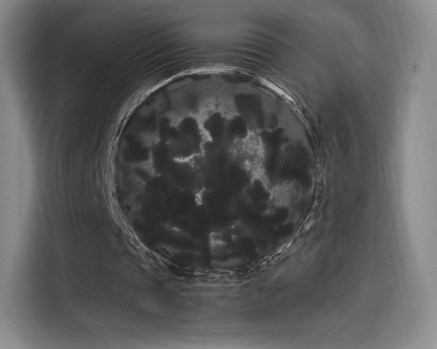 X0000114190337200910161209