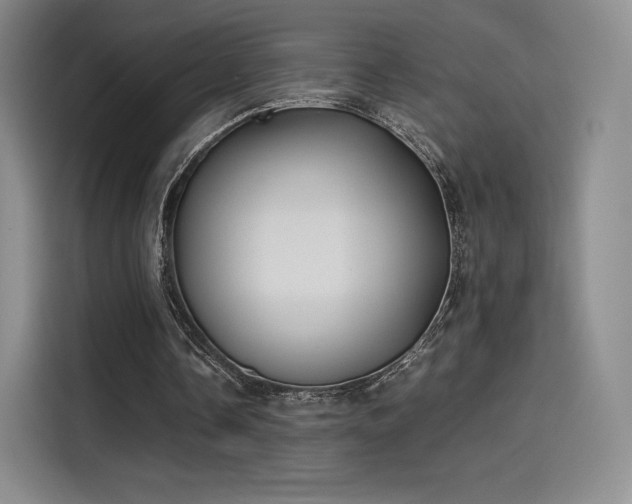 X0000114190338200910161209