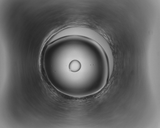 X0000114190340200910161209