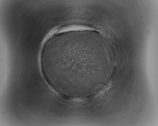 X0000114190341200910161209