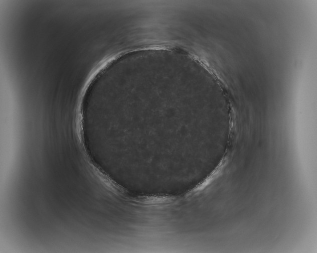 X0000114190342200910161209