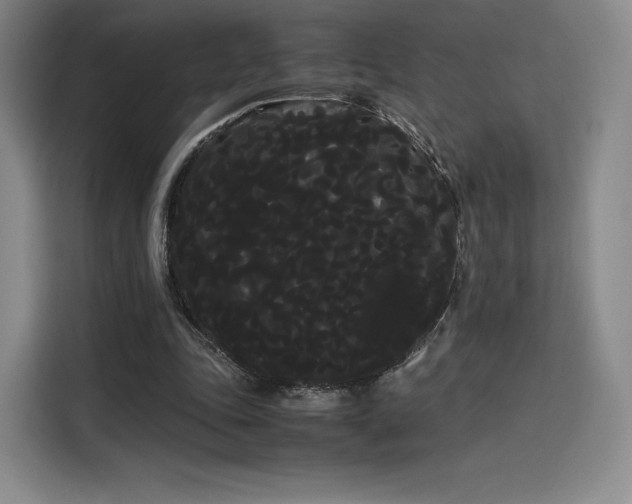 X0000114190343200910161209