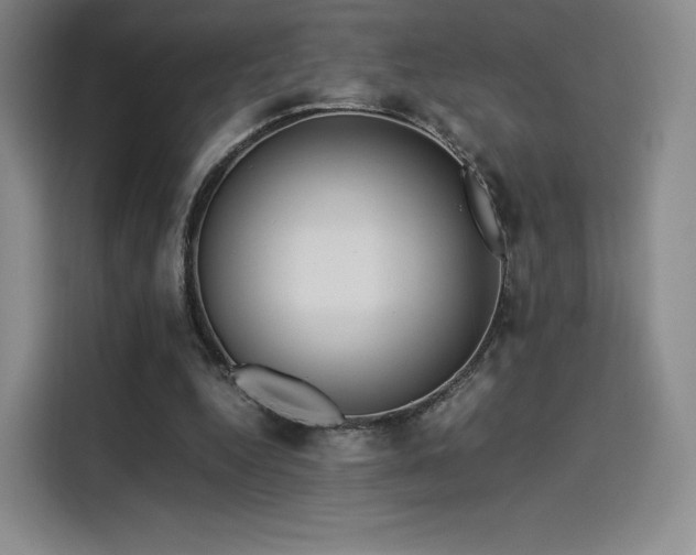 X0000114190344200910161209