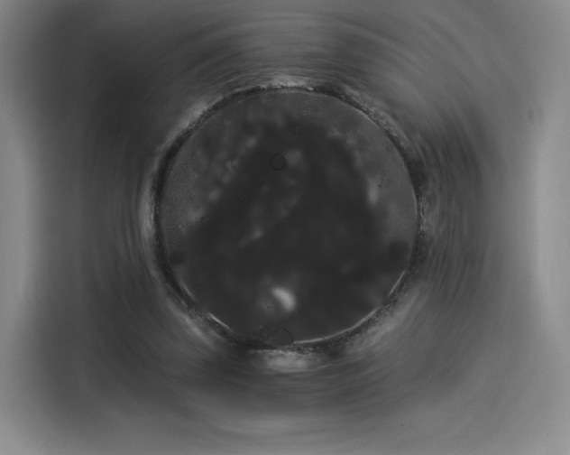 X0000114190347200910161209