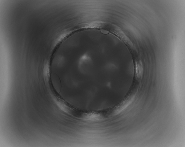 X0000114190348200910161209