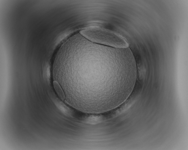 X0000114190350200910161209