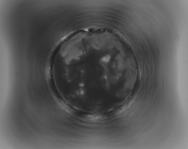 X0000114190351200910161209