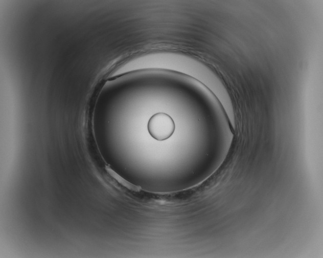 X0000114190352200910161209