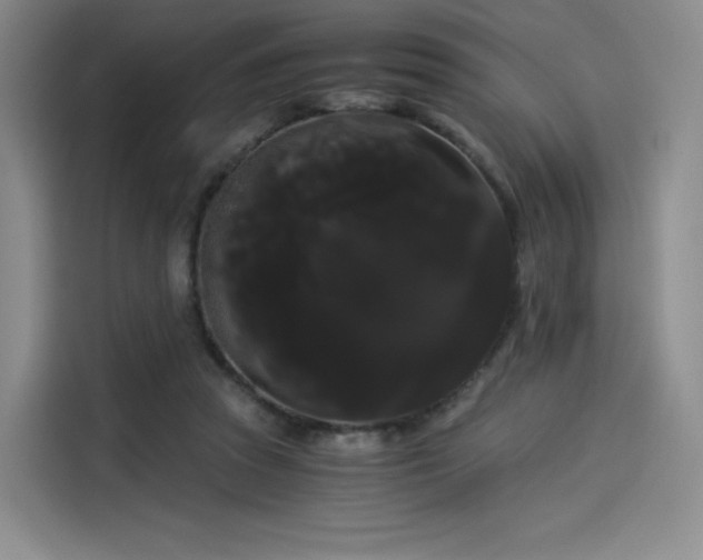 X0000114190353200910161209