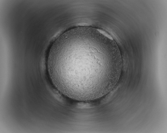 X0000114190354200910161209