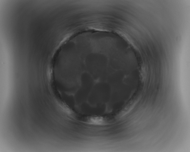 X0000114190355200910161209