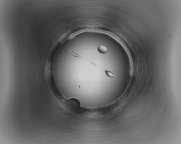 X0000114190356200910161209