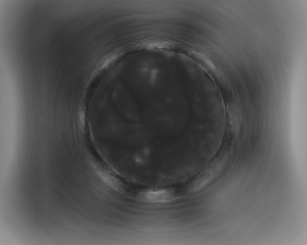 X0000114190357200910161209