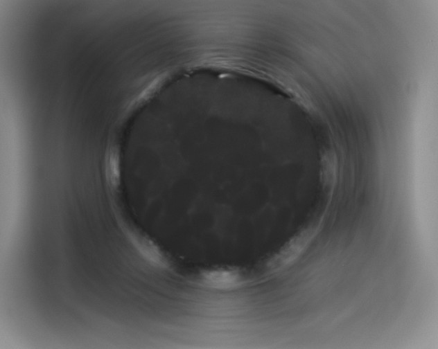 X0000114190358200910161209