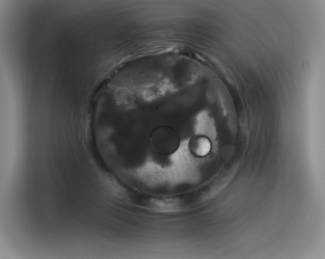 X0000114190359200910161209