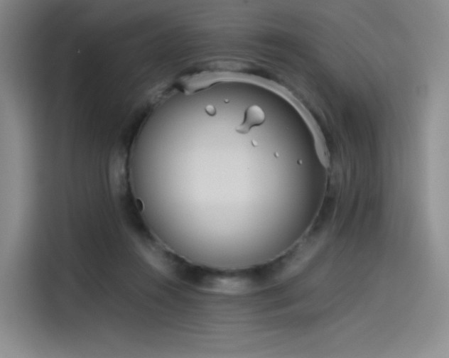X0000114190360200910161209