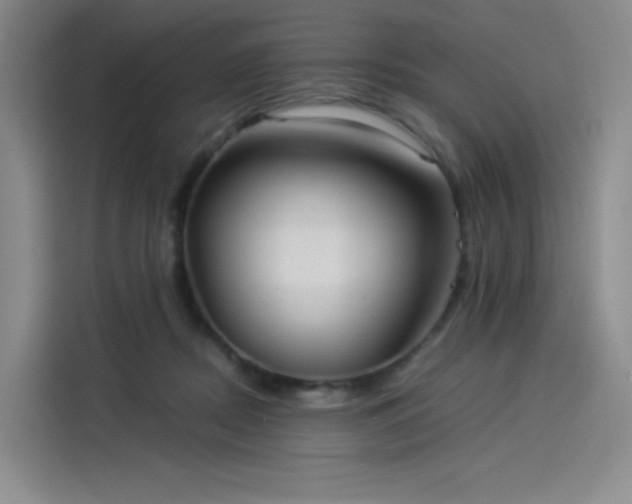 X0000114190362200910161209