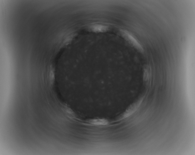 X0000114190363200910161209