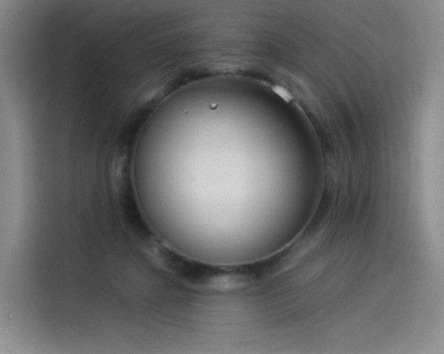 X0000114190364200910161209