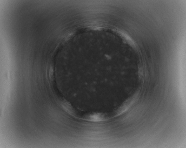 X0000114190365200910161209