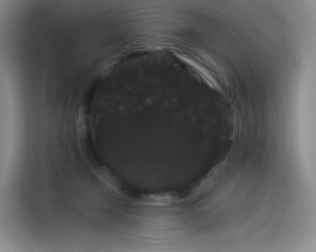 X0000114190366200910161209