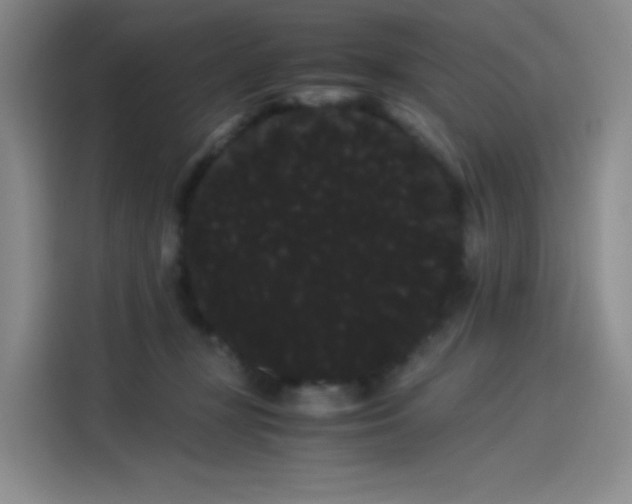 X0000114190367200910161209