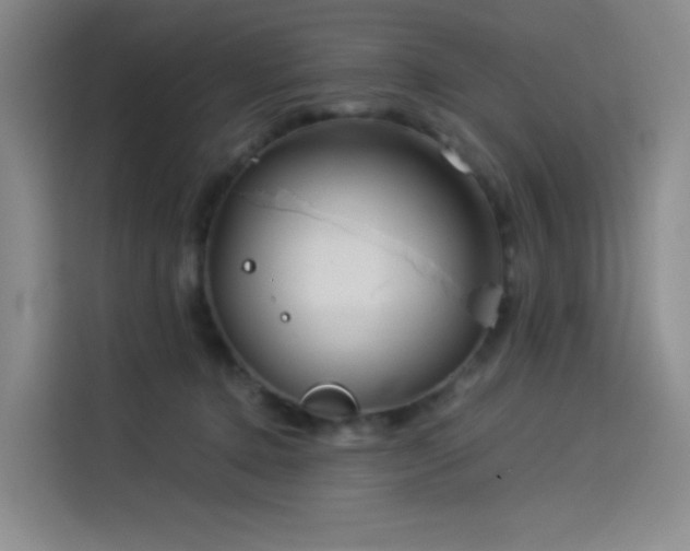 X0000114190368200910161209