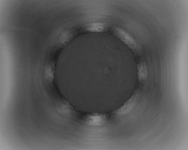 X0000114190370200910161209