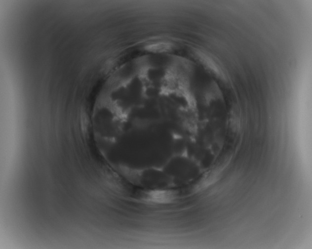 X0000114190371200910161209