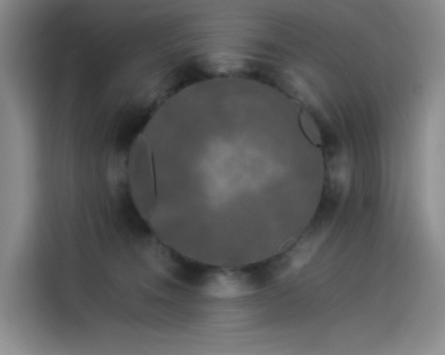 X0000114190372200910161209