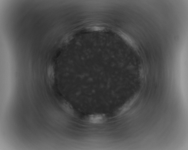 X0000114190373200910161209