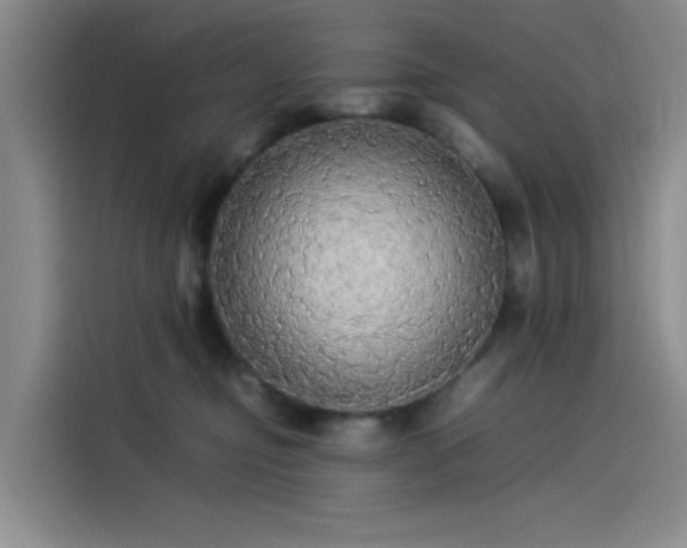 X0000114190374200910161209