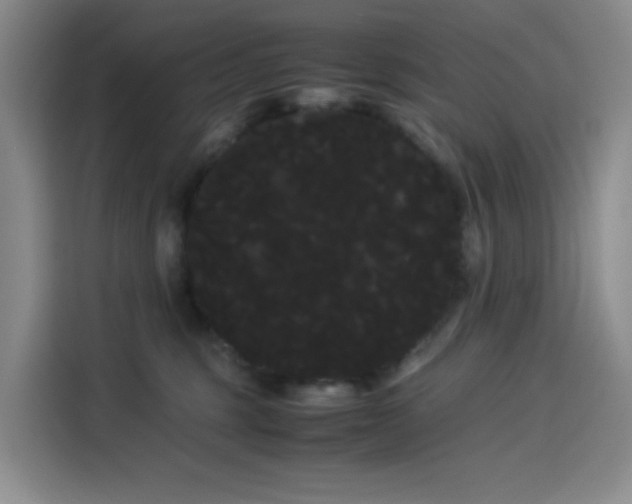 X0000114190375200910161209