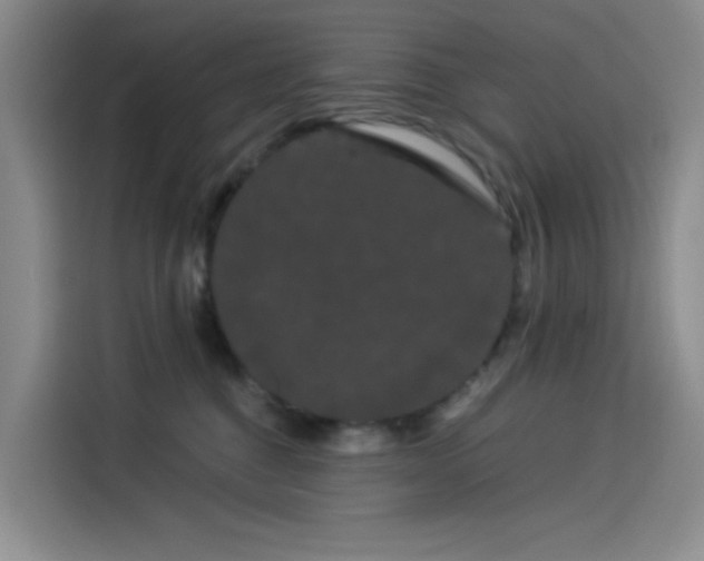 X0000114190376200910161209
