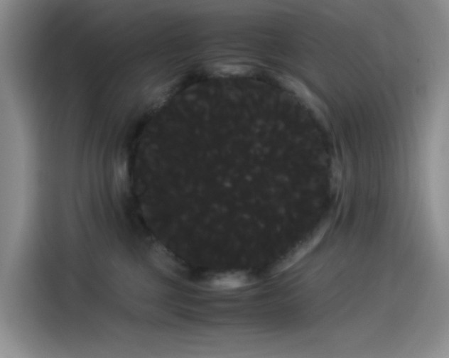 X0000114190377200910161209
