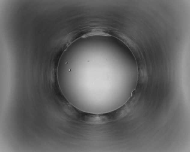 X0000114190379200910161209