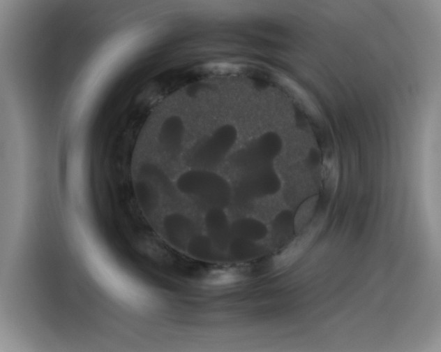 X0000114190381200910161210