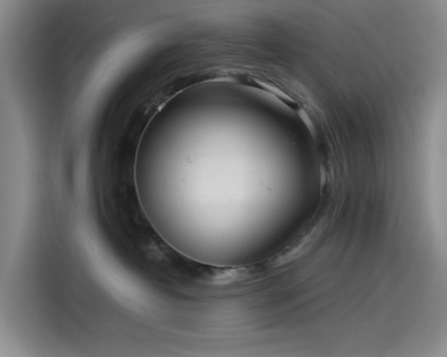 X0000114190382200910161210