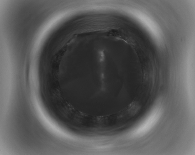 X0000114190383200910161210