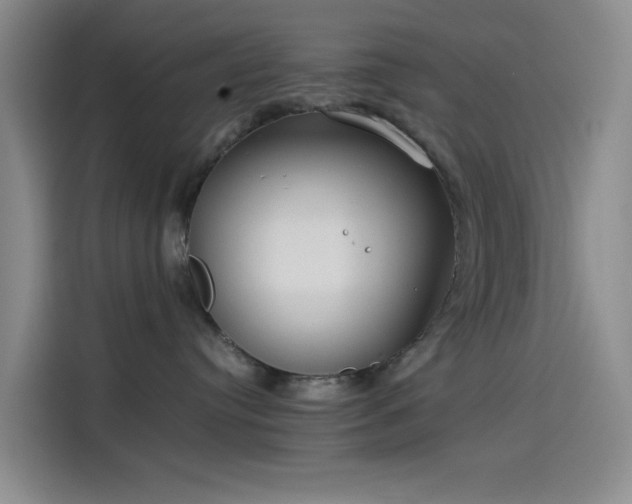 X0000114190384200910161210