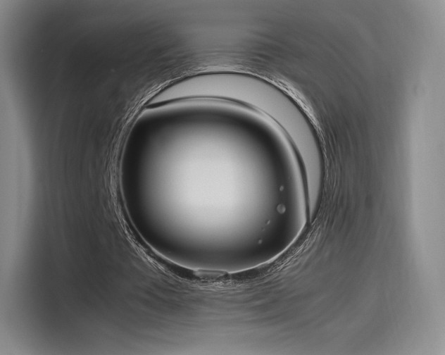 X0000114190385200910161209