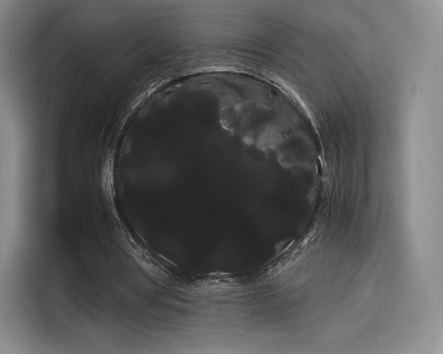 X0000114190386200910161209