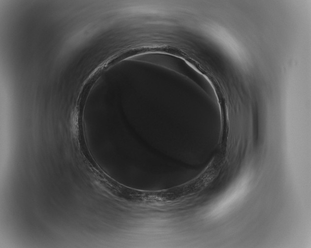 X0000114190387200910161209