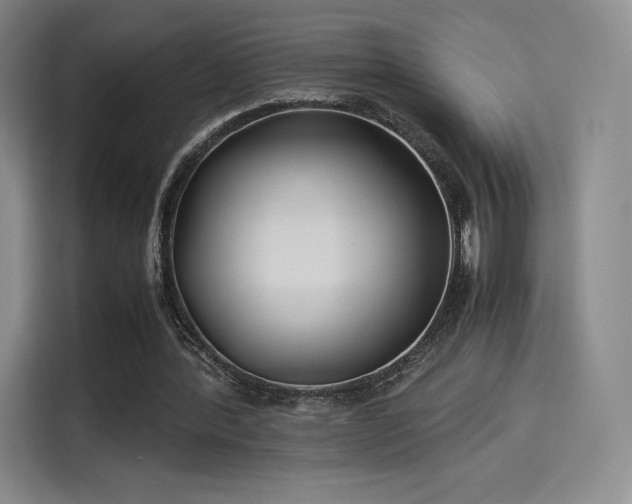 X0000114190388200910161209