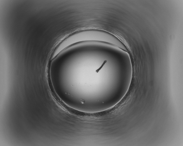 X0000114190389200910161209